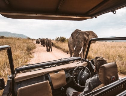 Nos voyages safaris - Crédits photos Redcharlie